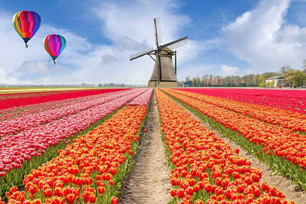 Wandern an die Blumenfelder vorbei