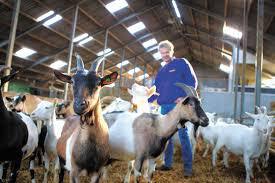 Utopia Hoeve Utopia Hoeve