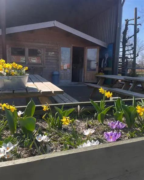 Boerderijwinkel Zijper Zuivel Boerderijwinkel Zijper Zuivel