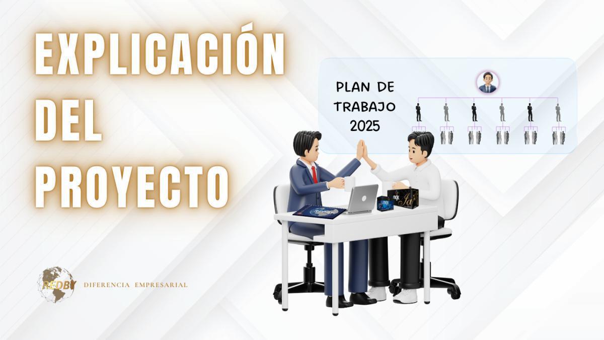 EXPLICACIÓN DEL PROYECTO 2025