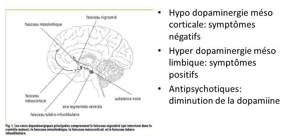Les antipsychotiques ou neuroleptiques