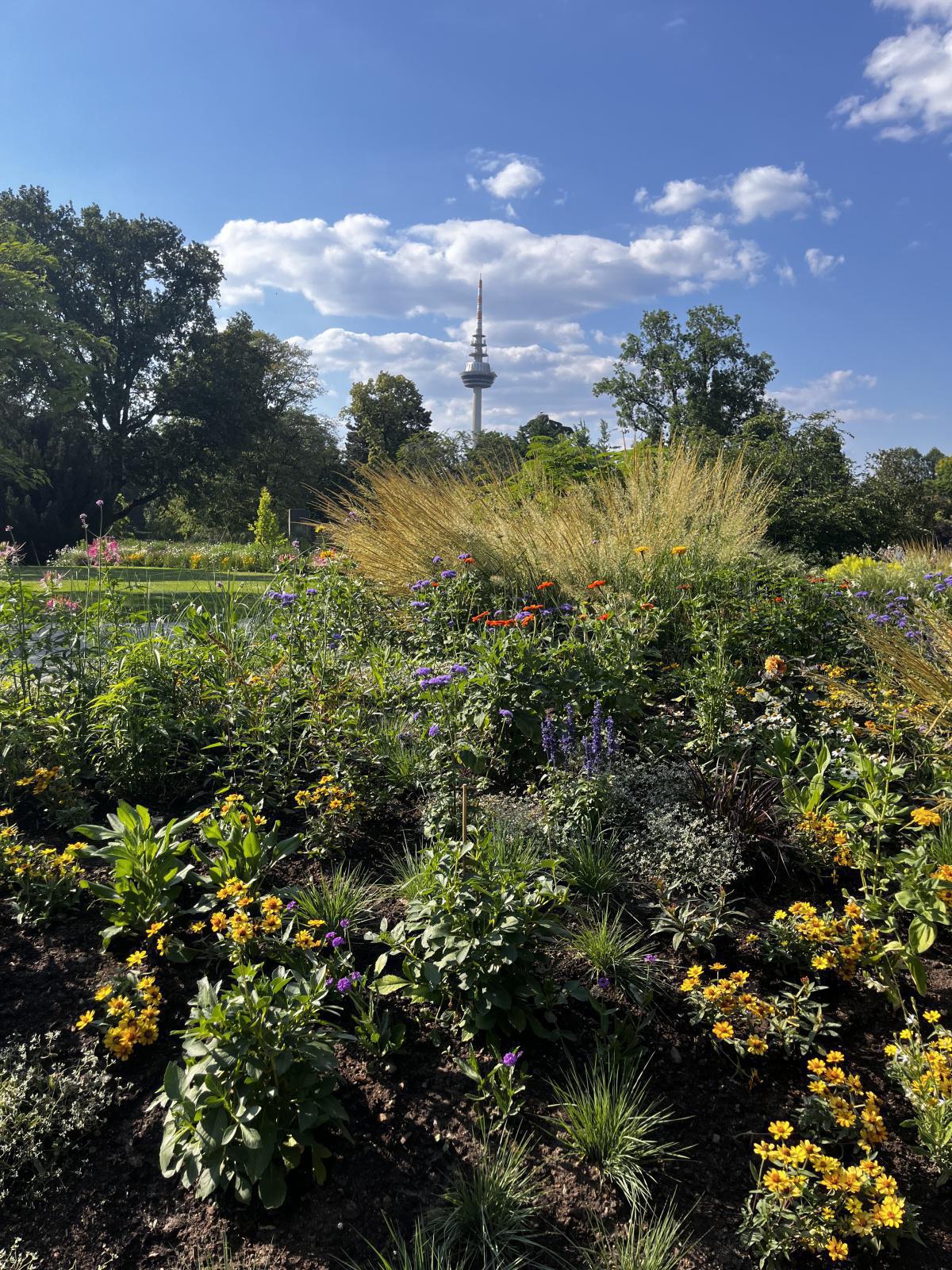 Bundesgartenschau Mannheim Bundesgartenschau Mannheim