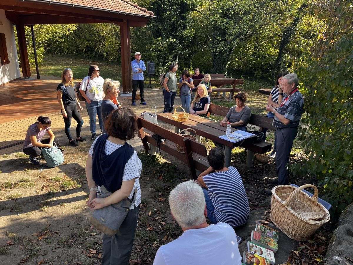 Pilzlehrwanderung Pilzlehrwanderung