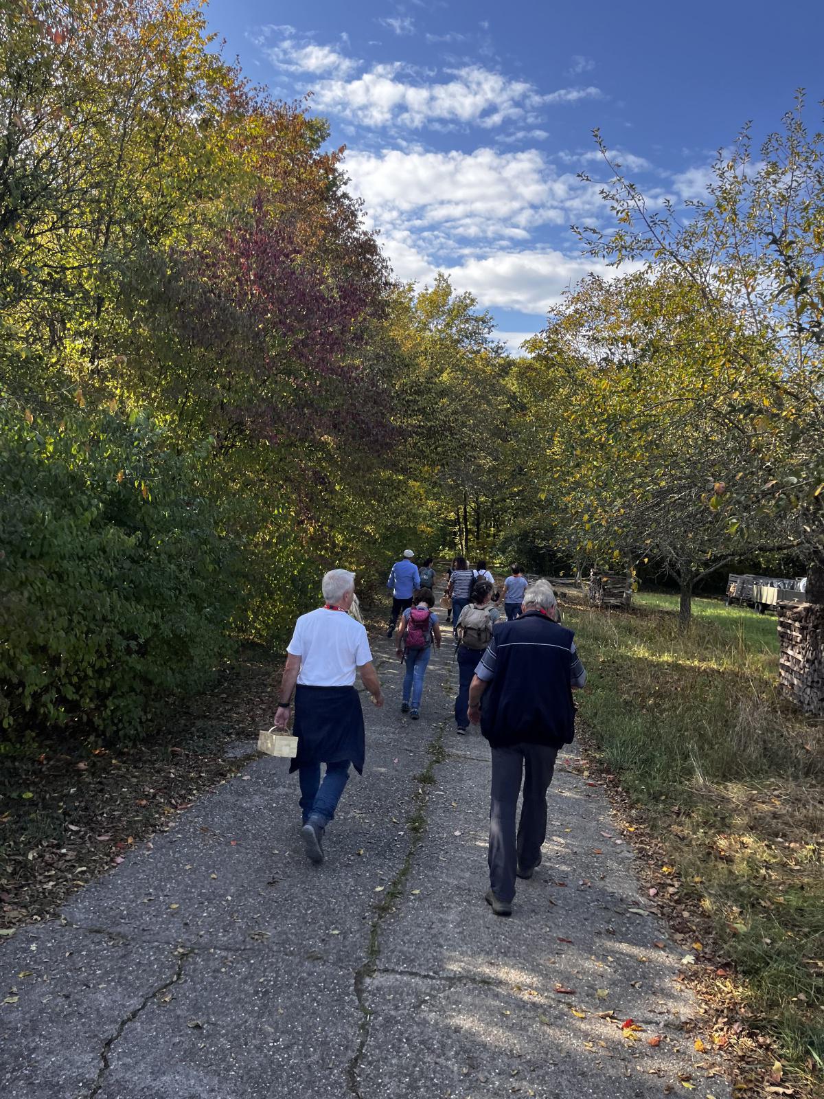 Pilzlehrwanderung Pilzlehrwanderung