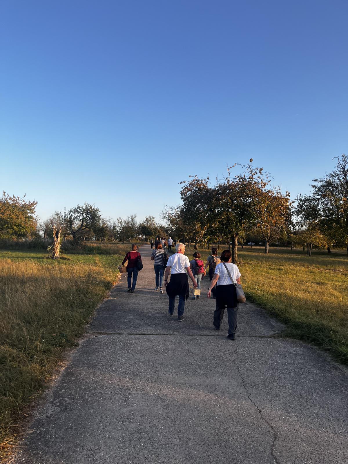 Pilzlehrwanderung Pilzlehrwanderung