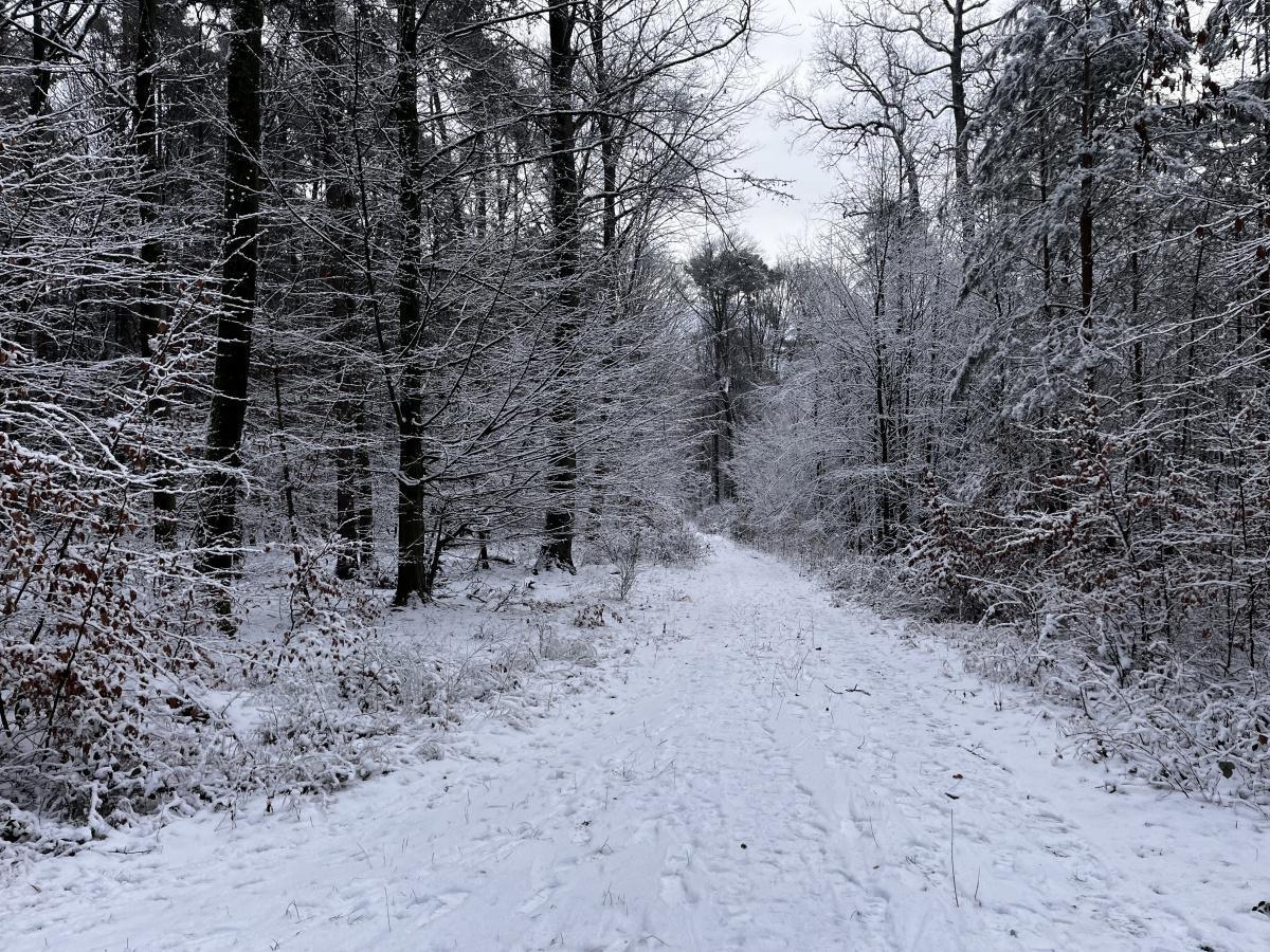 Winterwanderung Winterwanderung