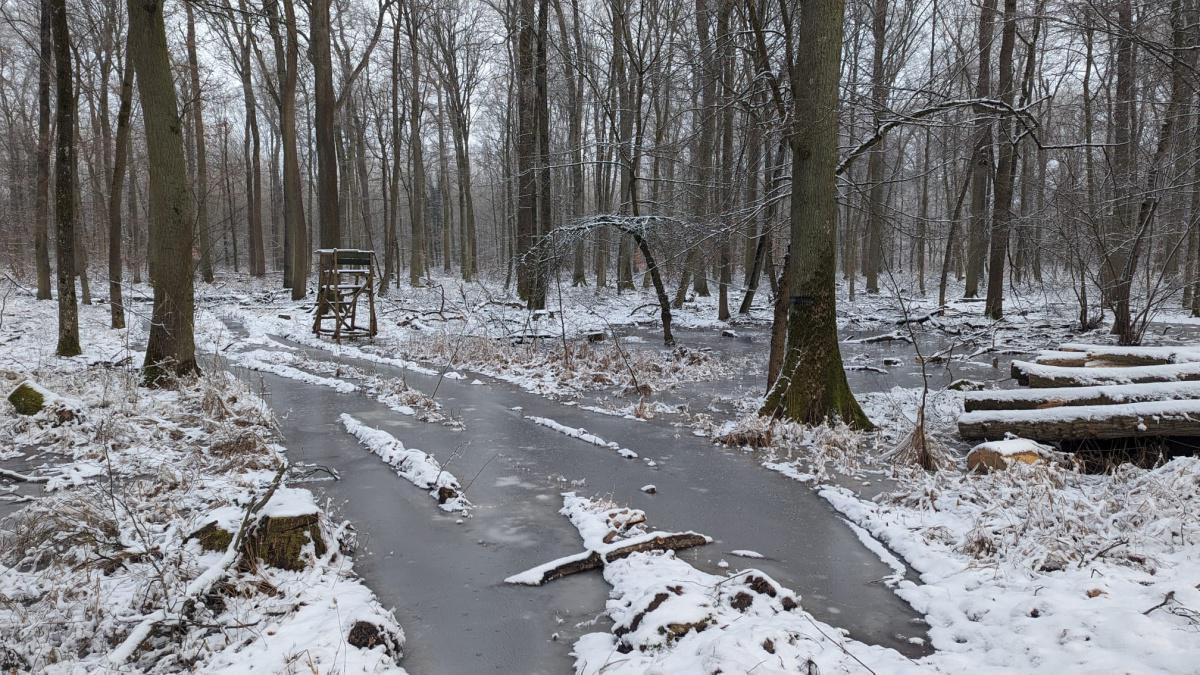 Winterwanderung Winterwanderung