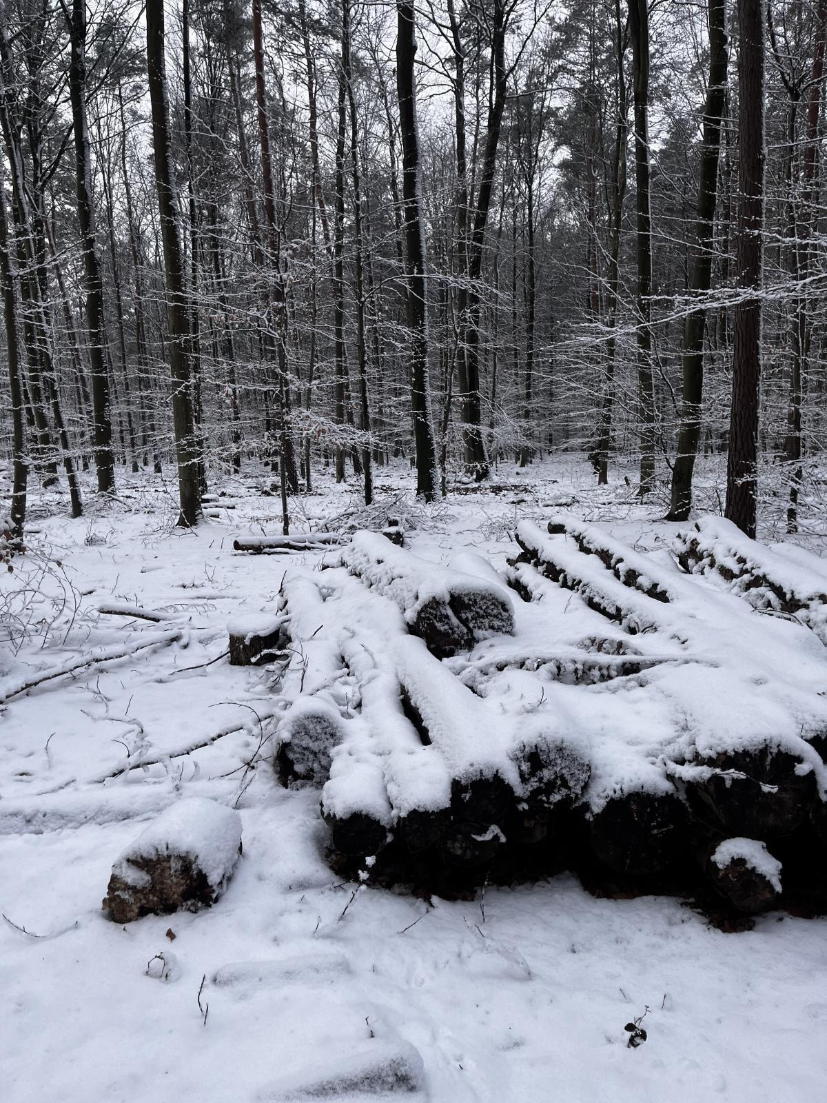 Winterwanderung Winterwanderung