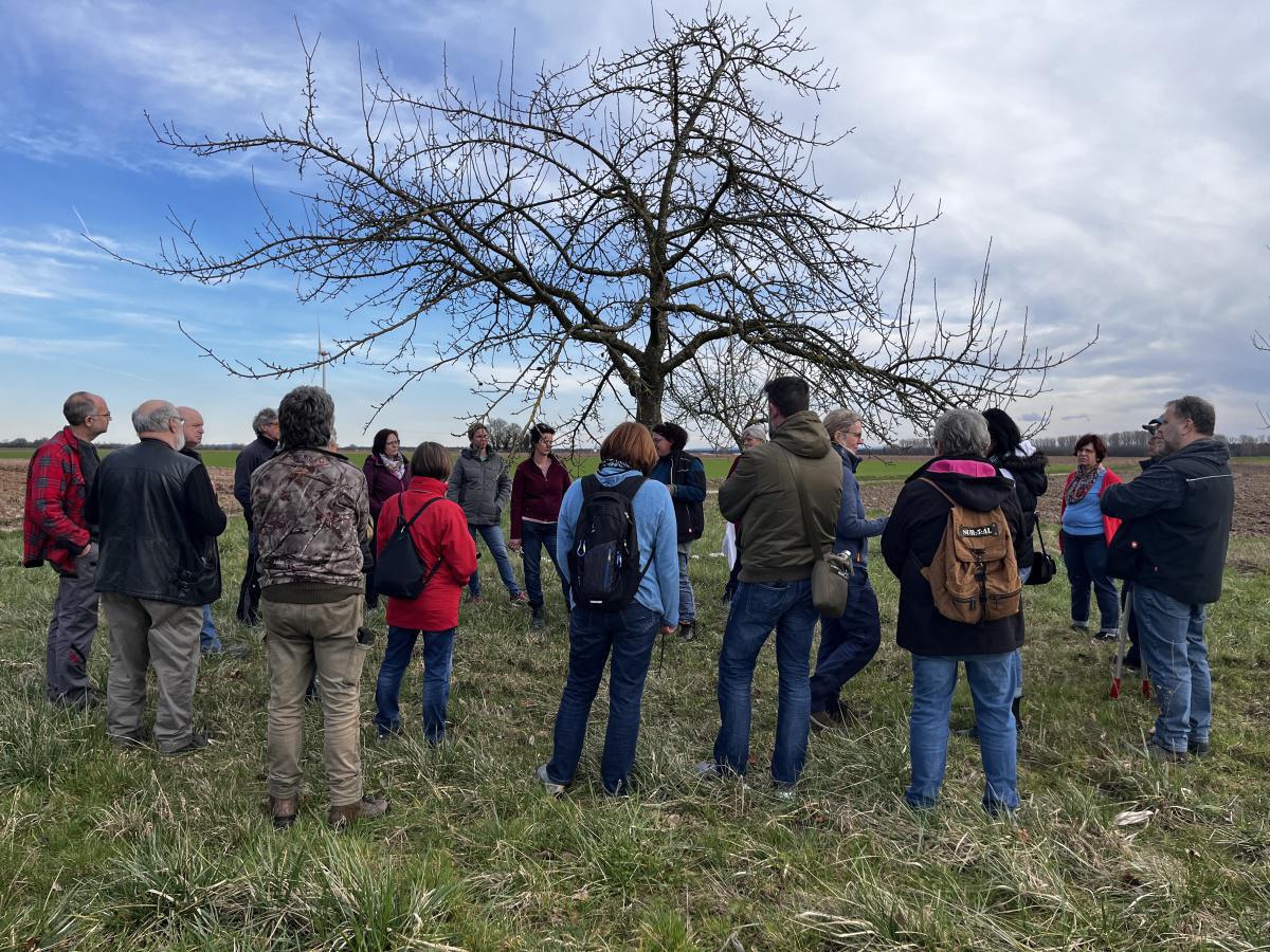 Workshop: Obstbäume schneiden Workshop: Obstbäume schneiden