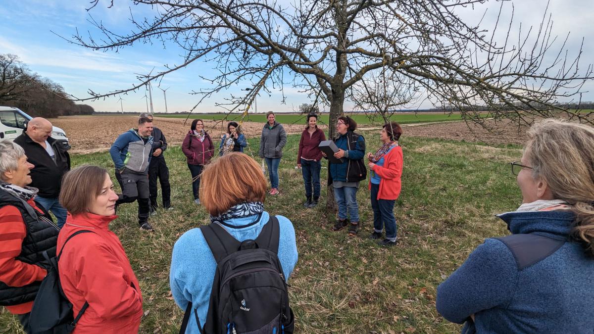 Workshop: Obstbäume schneiden Workshop: Obstbäume schneiden