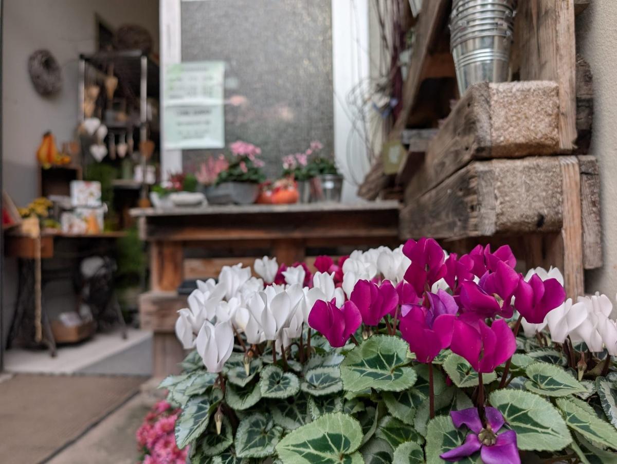 Der Hofladen Kästle – Frisches mit Herz aus der Region.