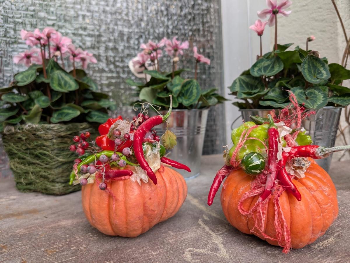 Der Hofladen Kästle – Frisches mit Herz aus der Region. Der Hofladen Kästle – Frisches mit Herz aus der Region.