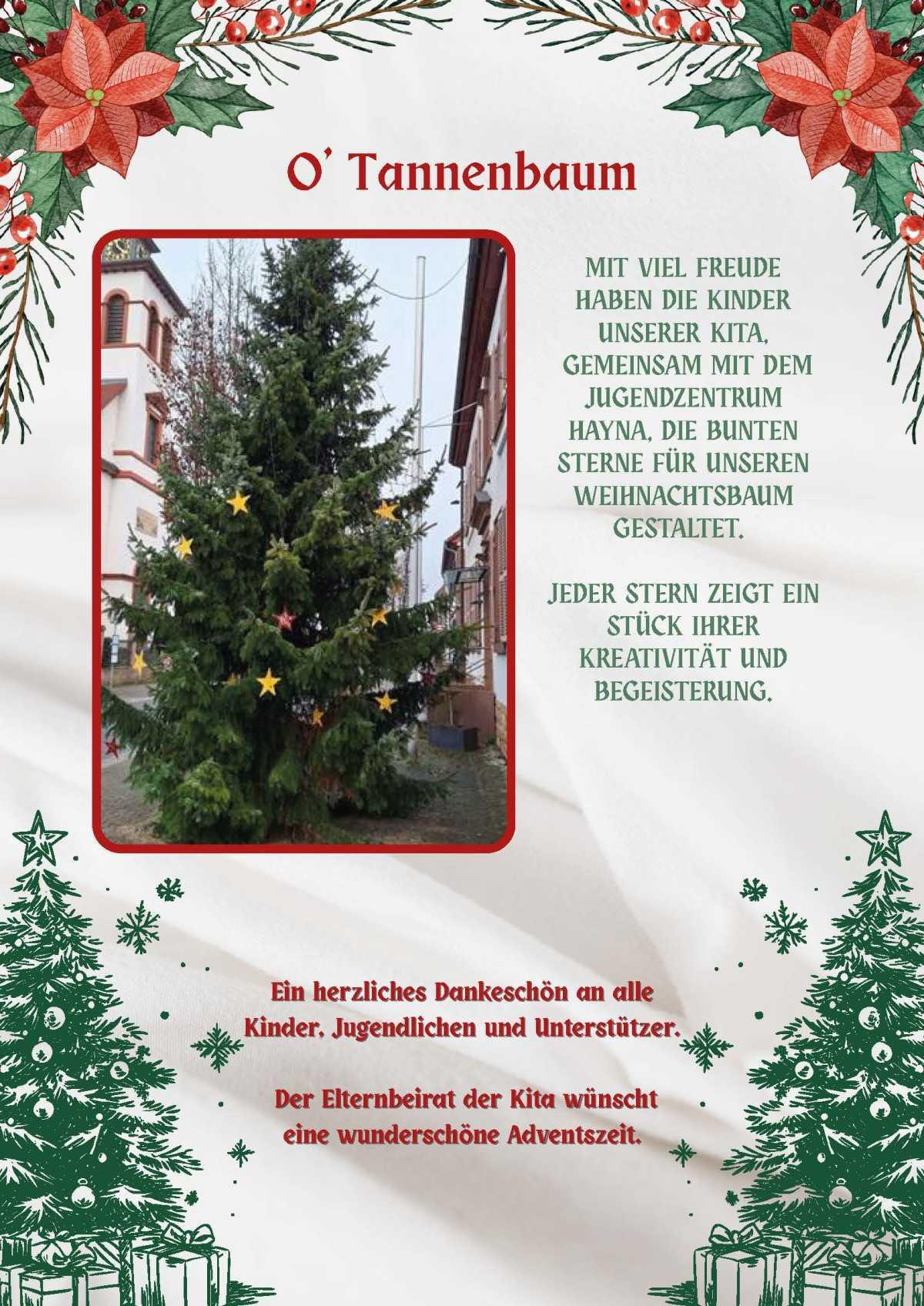 Weihnachtssterne am Tannenbaum