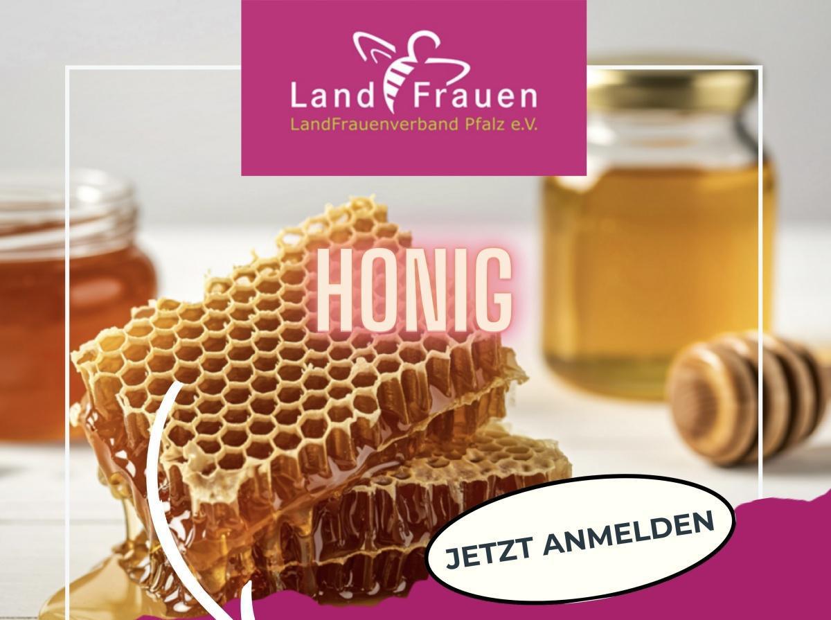 🍯🐝 Kochvortrag: Honig – Mehr als nur süß