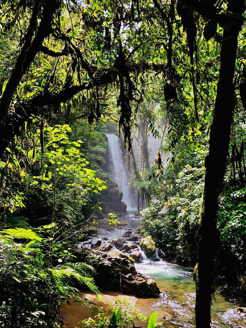 Senderos de Costa Rica