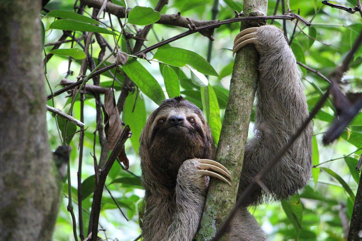 Senderos de Costa Rica