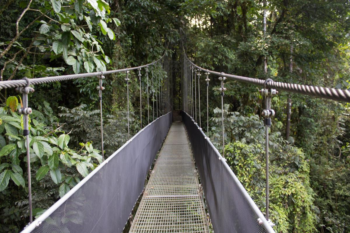 Senderos de Costa Rica