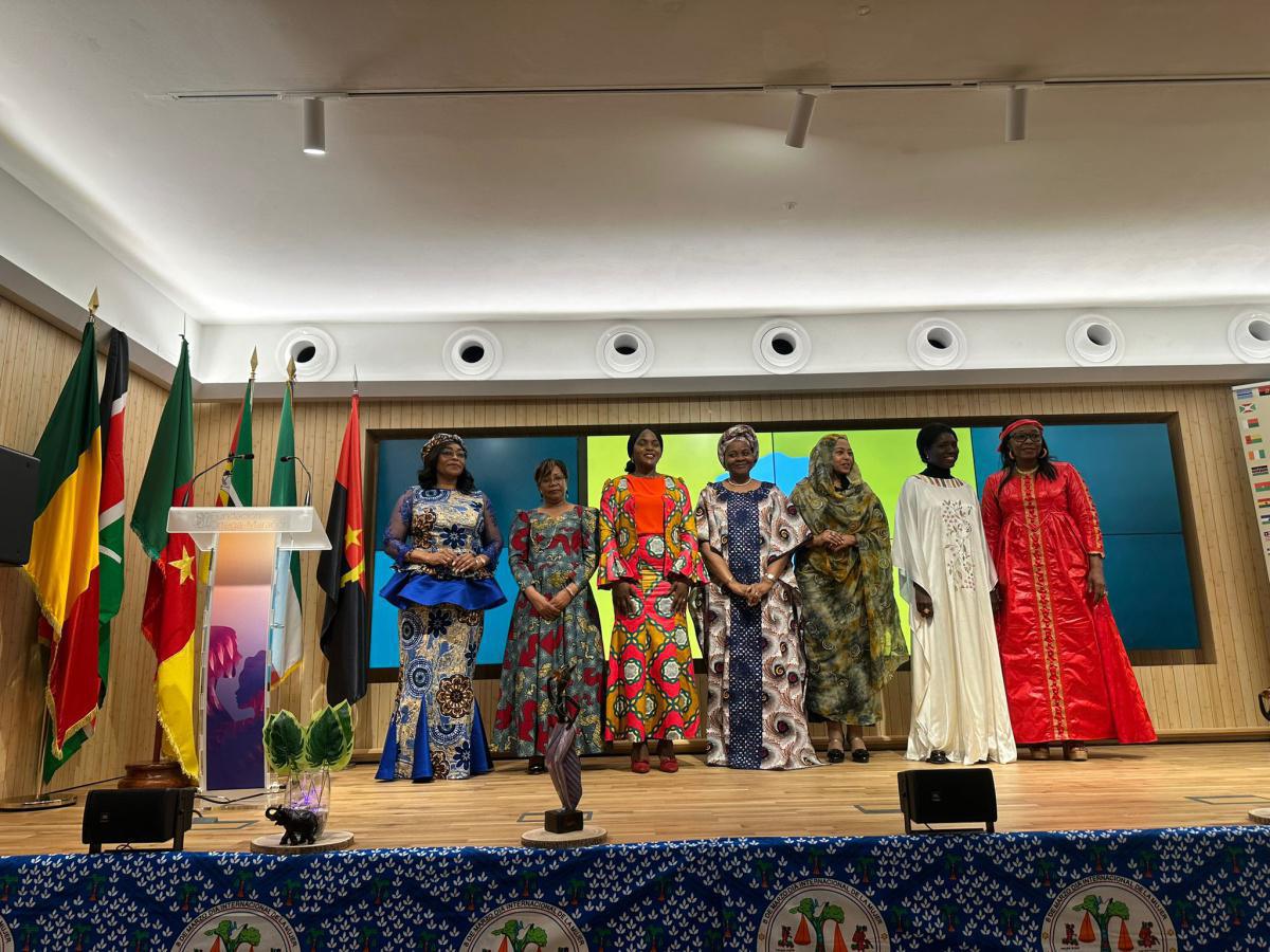 AEA La primera Asociación de Embajadoras Africanas AEA La primera Asociación de Embajadoras Africanas