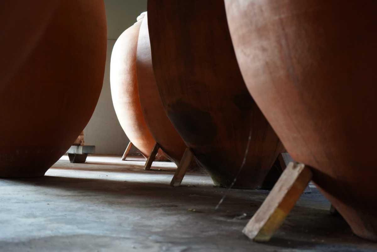 Viña Memorias: El legado familiar de Annie Molco entre raíces, vino y recuerdos Viña Memorias: El legado familiar de Annie Molco entre raíces, vino y recuerdos