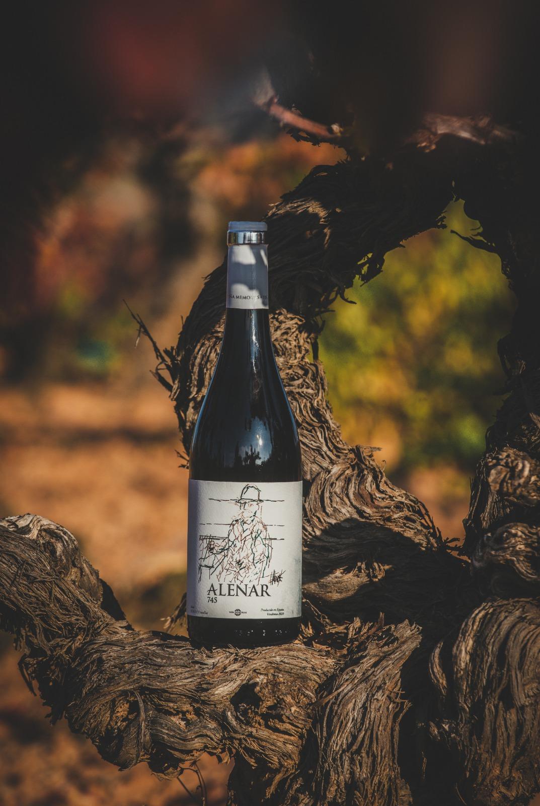 Viña Memorias: El legado familiar de Annie Molco entre raíces, vino y recuerdos Viña Memorias: El legado familiar de Annie Molco entre raíces, vino y recuerdos