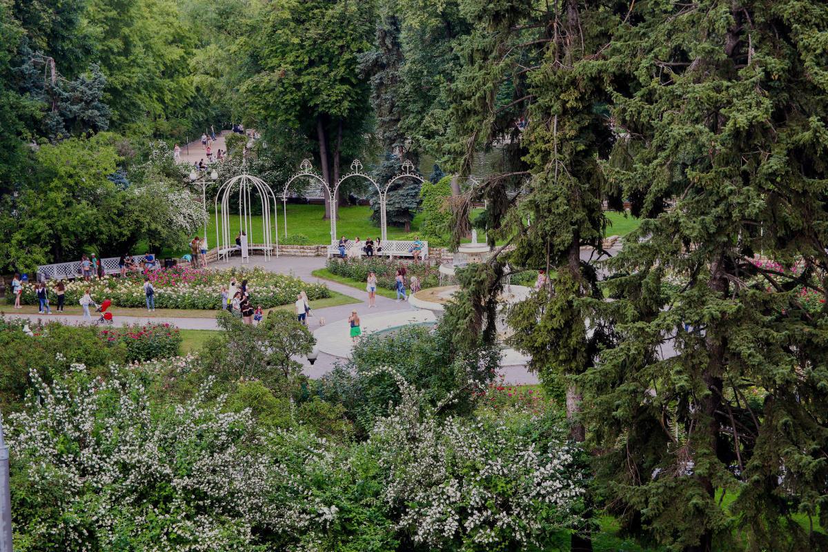 Visitas guiadas "El jardín de los aromas"