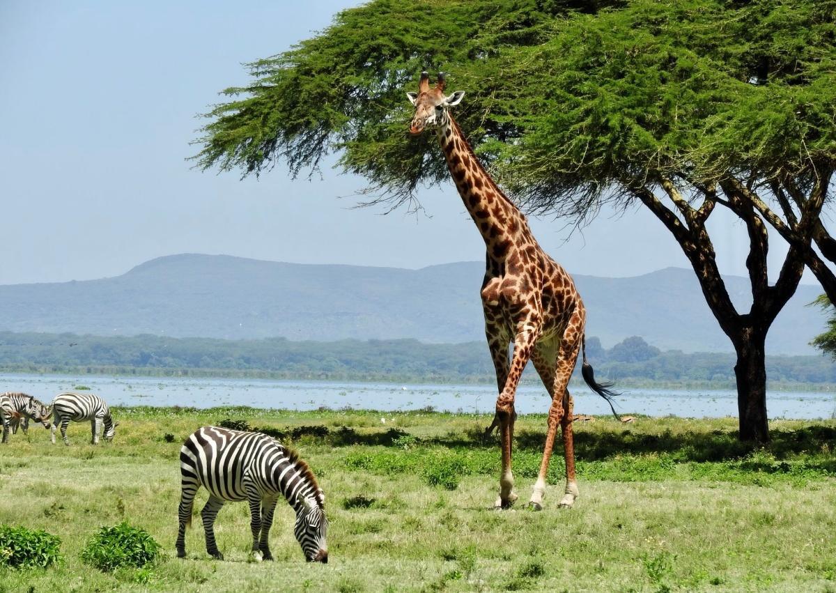 Lac Navaisha Lac Navaisha