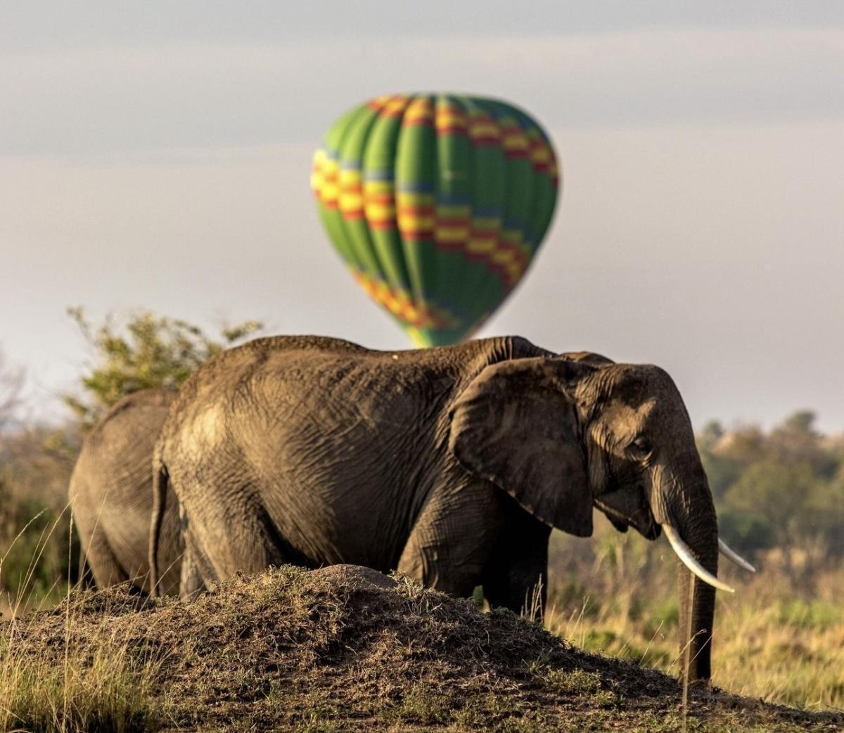 10 Sites Inscrits au Patrimoine Mondial de l'UNESCO à Visiter en Afrique