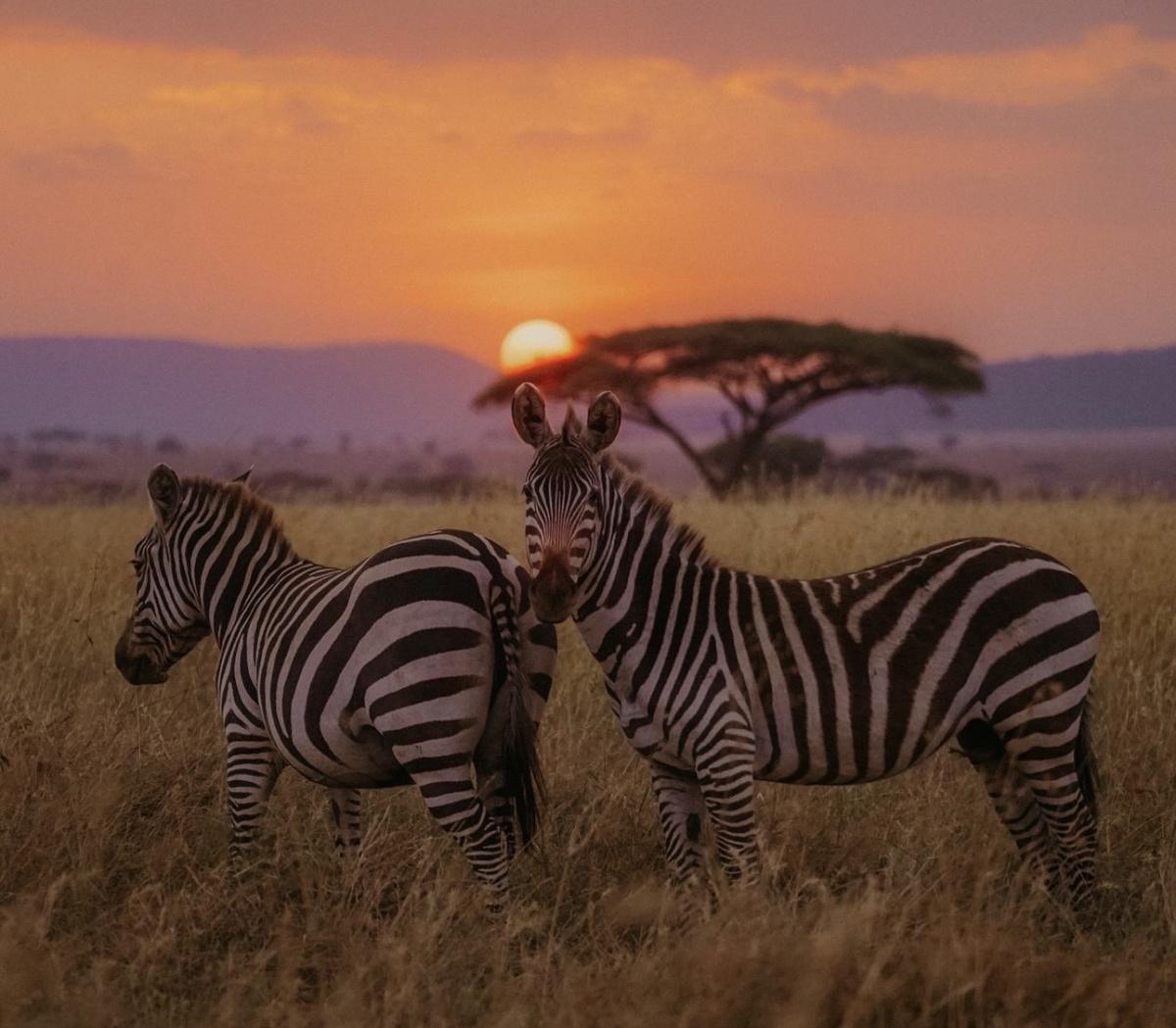 10 Sites Inscrits au Patrimoine Mondial de l'UNESCO à Visiter en Afrique