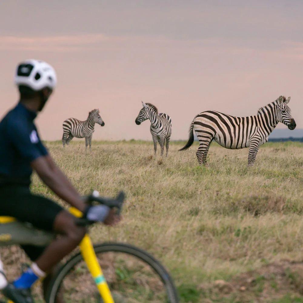  Kenya Safari Tour : 7 jours d’émerveillement