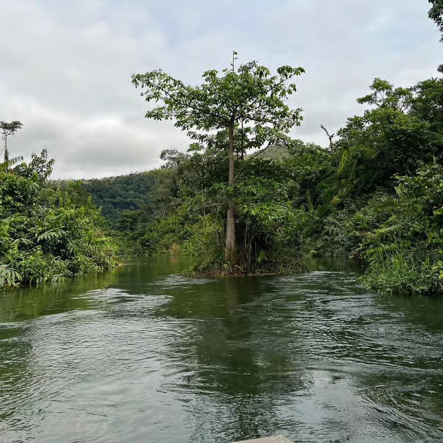 Découvrez la réserve de faune de Lefini