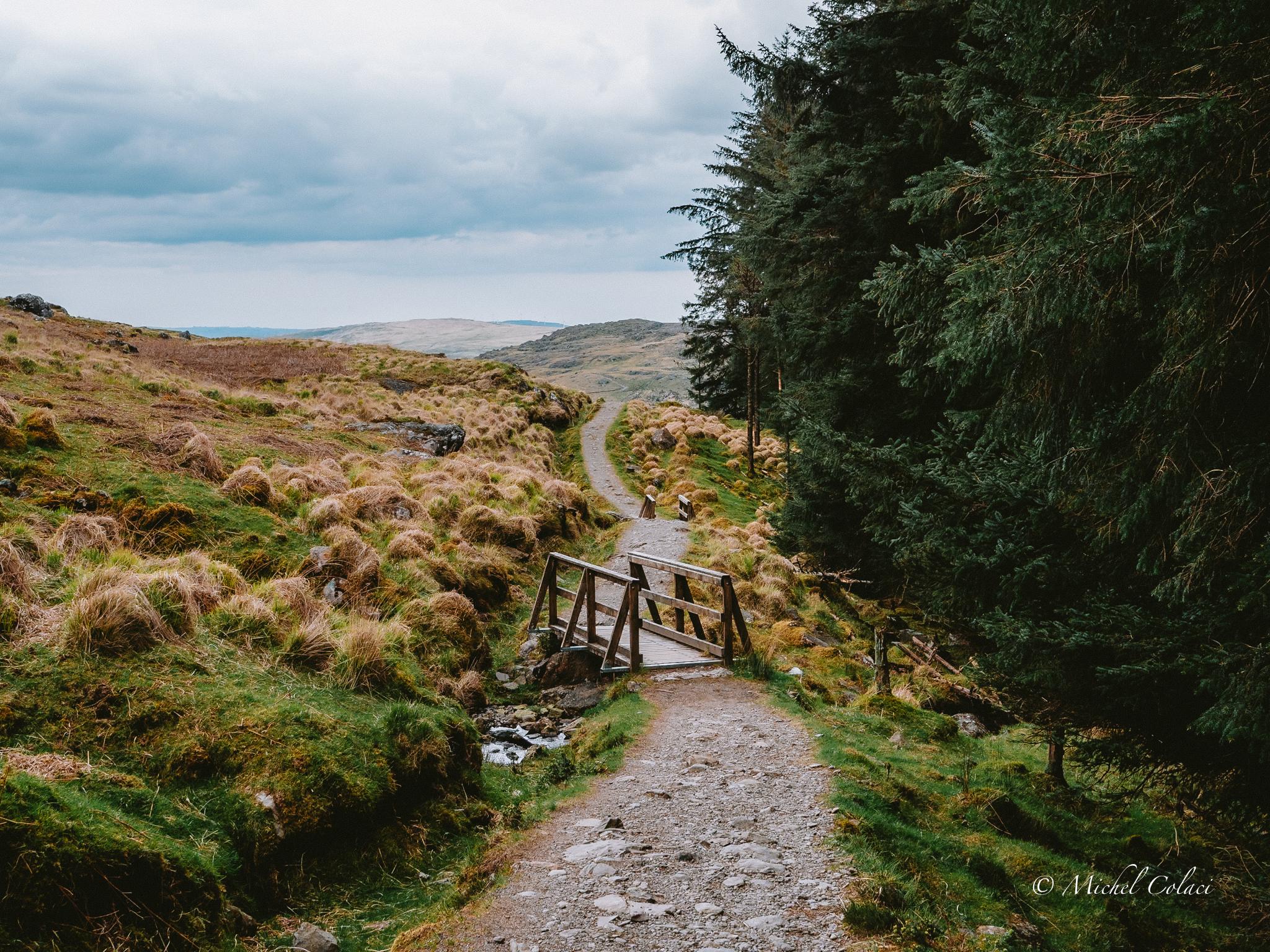 Gougane Barra Trails 