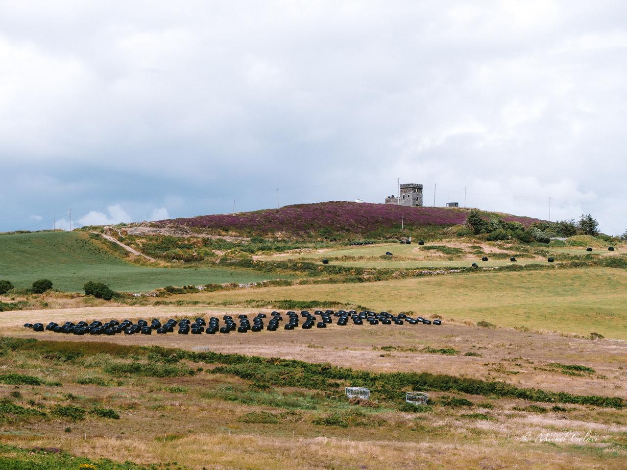 Toe Head Signal Tower