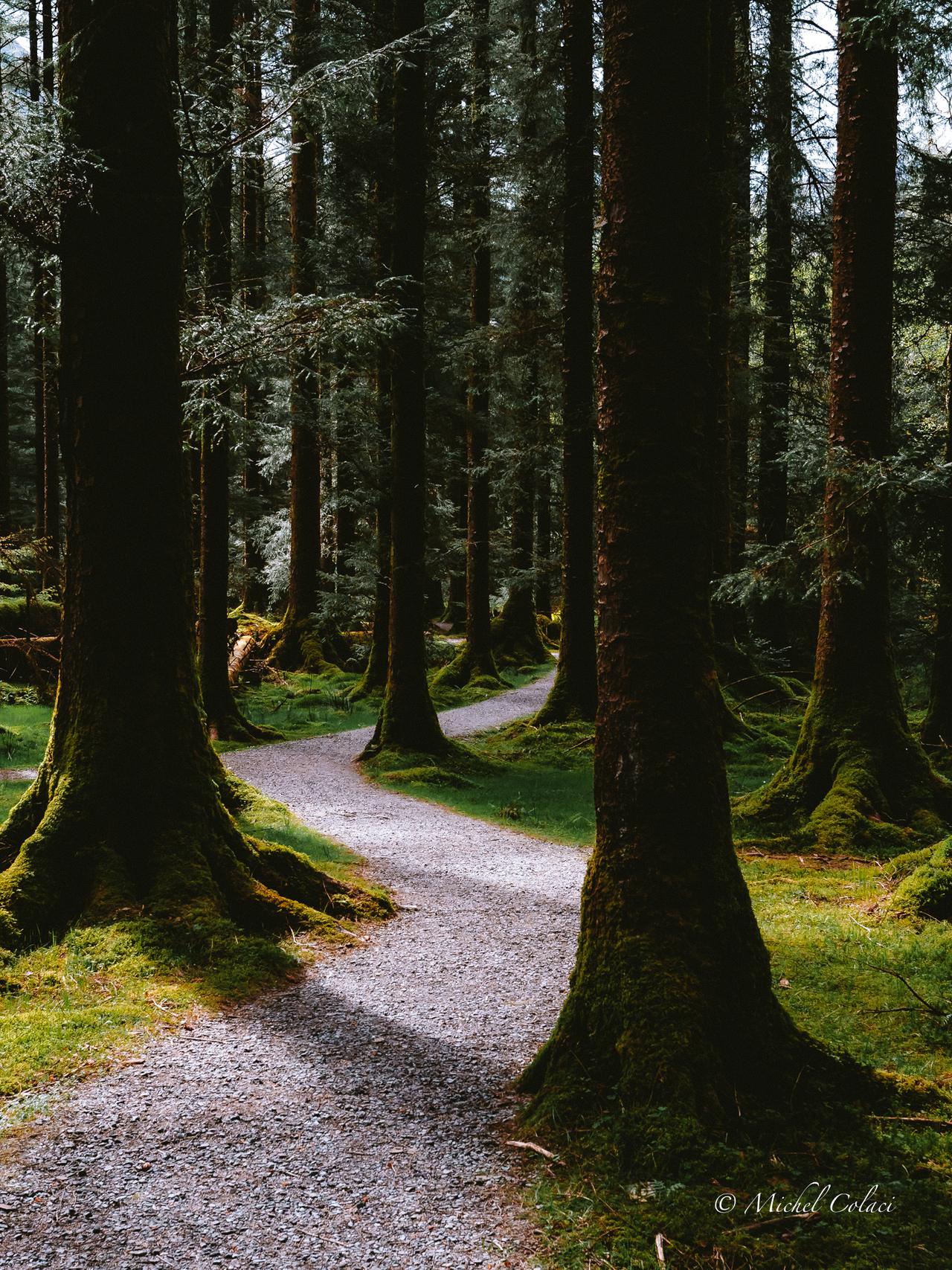 Gougane Barra Forest Park