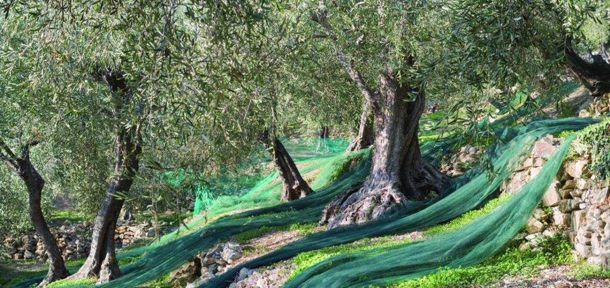 QUALITA' & PASSIONE QUALITA' & PASSIONE