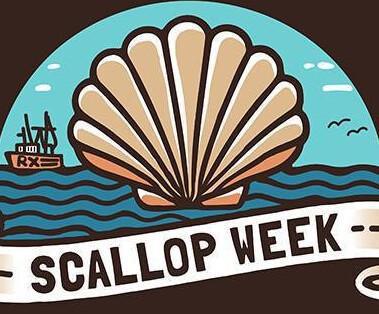 Rye Bay Scallop Week