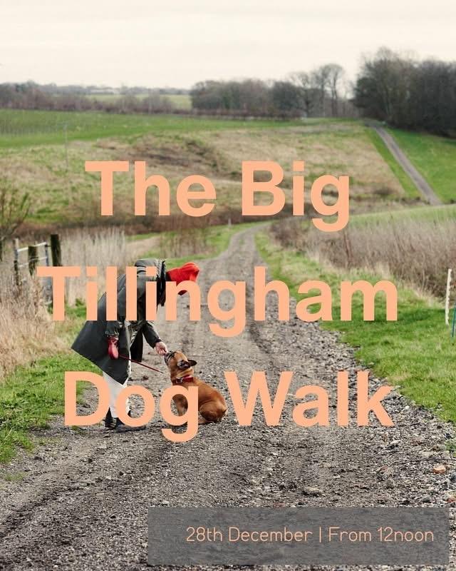 The Big Dog Walk @ Tillingham
