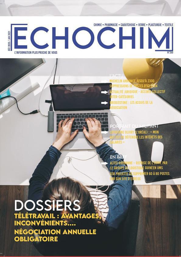 ECHOCHIM "TELERAVAIL : AVANTAGES, INCONVENIENTS..."Décembre 2020
