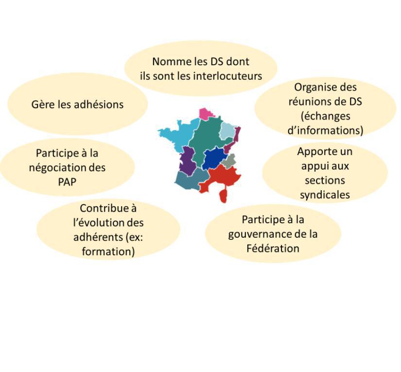 Syndicats régionaux, quels sont leurs missions ?