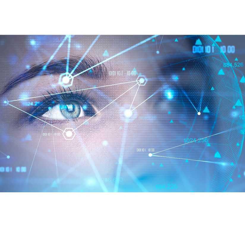 Bulletin de protection sociale Février 2025