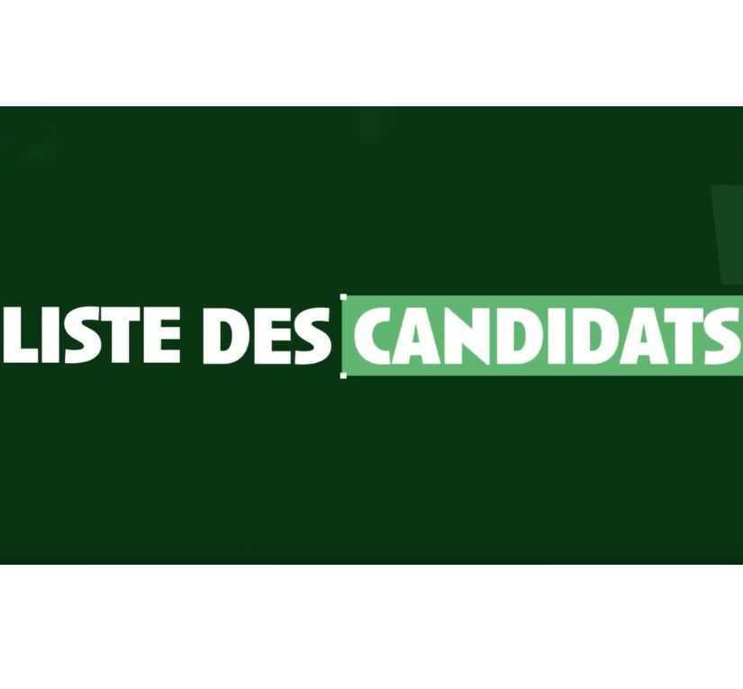 En vidéo : la liste des candidats