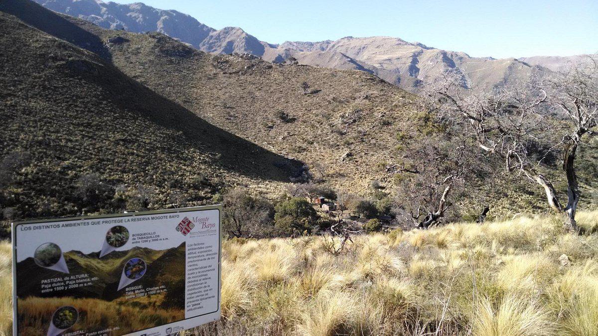 Reserva Provincial Mogote Bayo