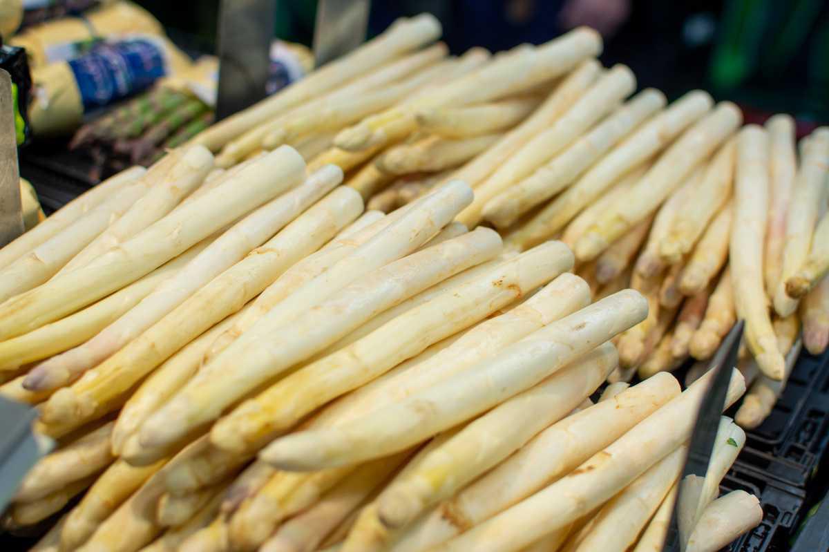 Spargel