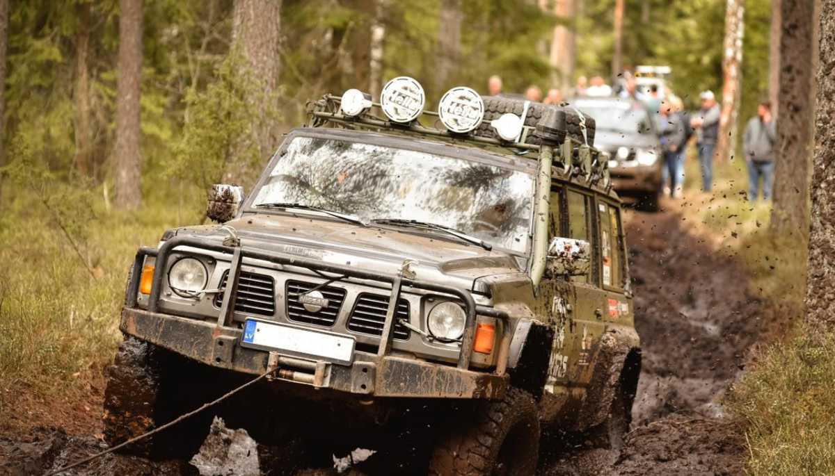 Day 2 - the Wild side of nature