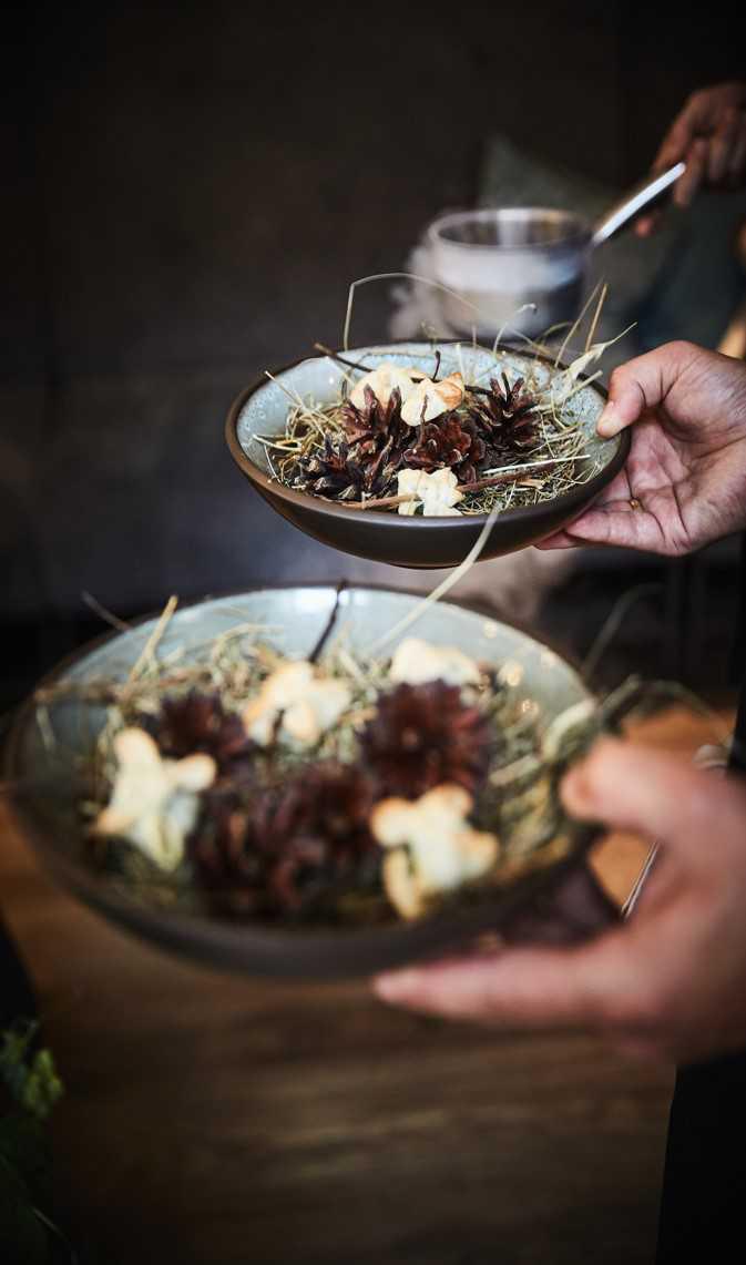 Day 2 - the Wild side of nature