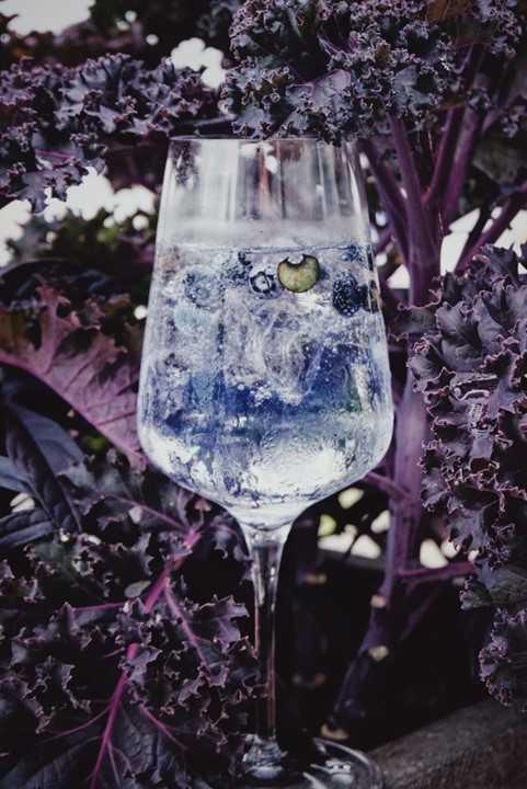 Day 2 - the Wild side of nature