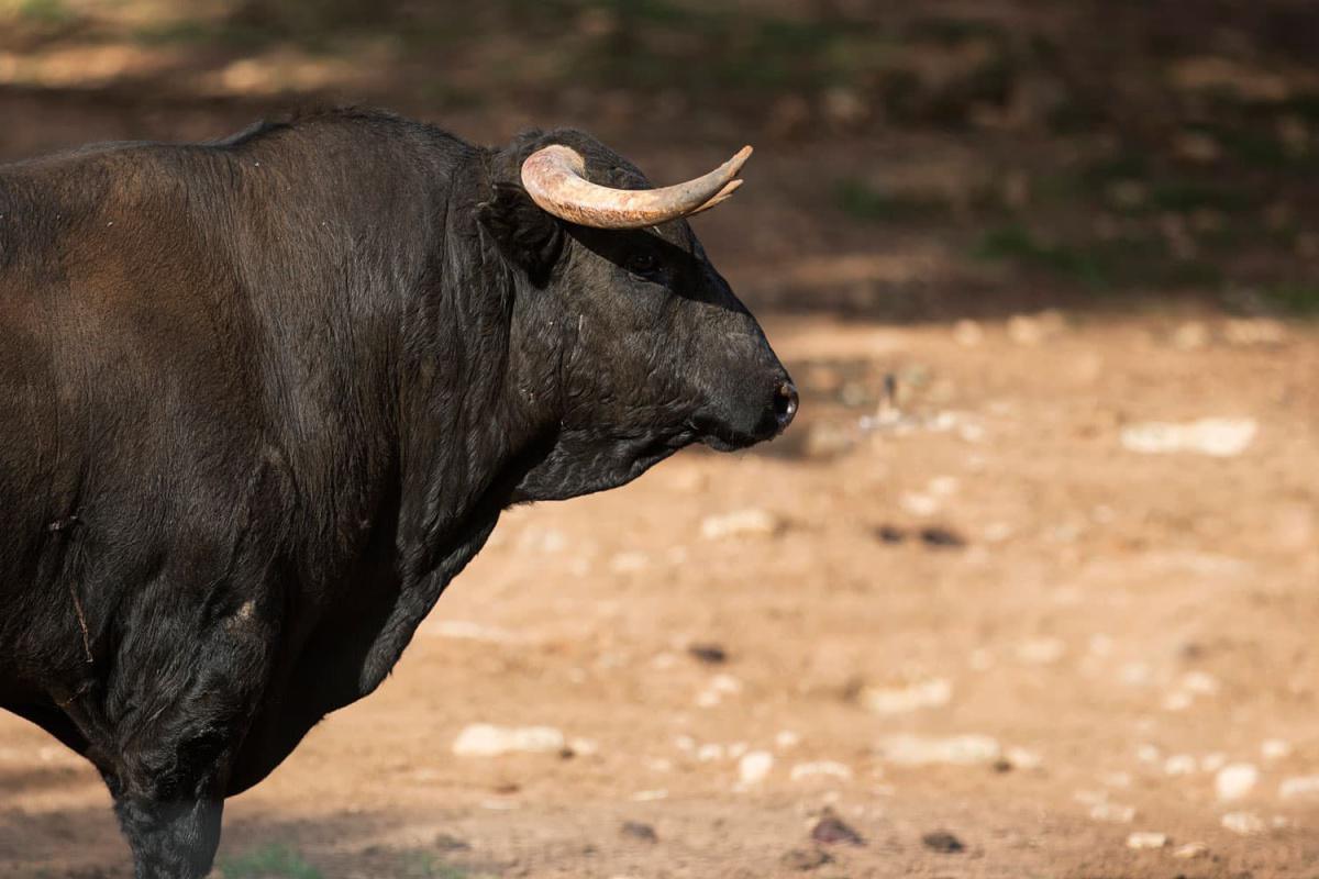 Day 3 - test of Courage....