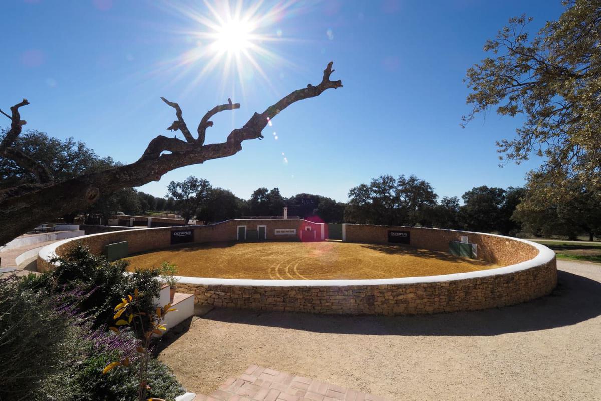 Day 3 - test of Courage....