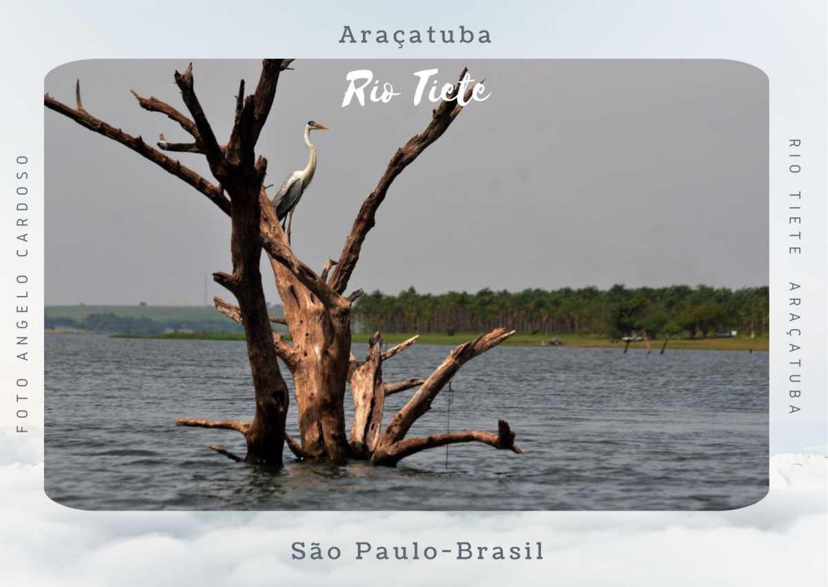  Em Breve Coleção Postal "Encantos" Araçatuba 