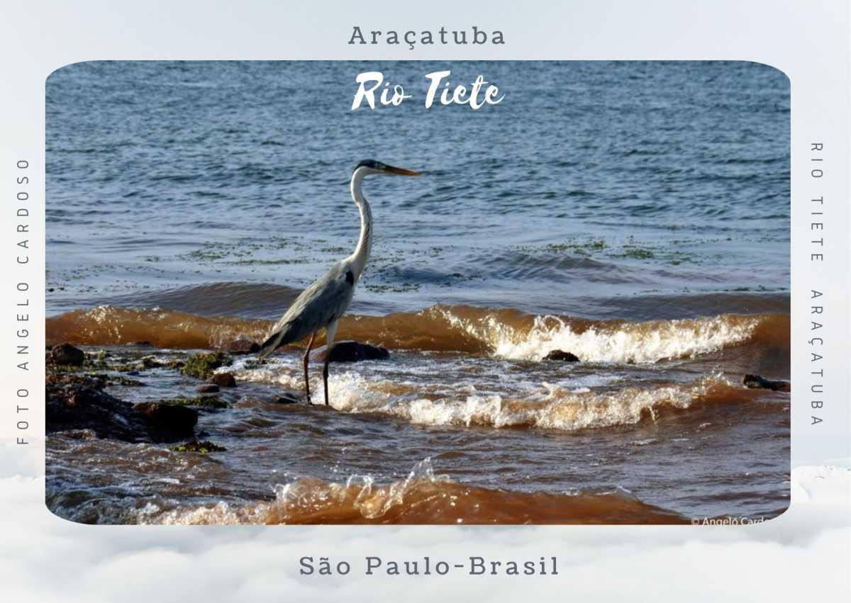  Em Breve Coleção Postal "Encantos" Araçatuba 