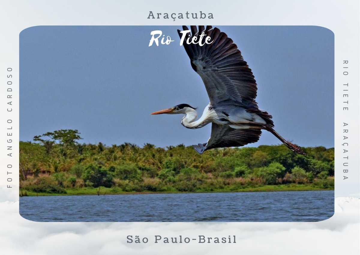  Em Breve Coleção Postal "Encantos" Araçatuba 